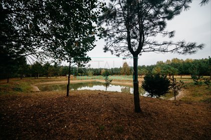 działka na sprzedaż 12000m2 działka Podlasie