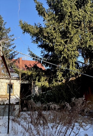 Dom do remontu w Goworowie z dużym potencjałem dom Goworowo, Przechodnia