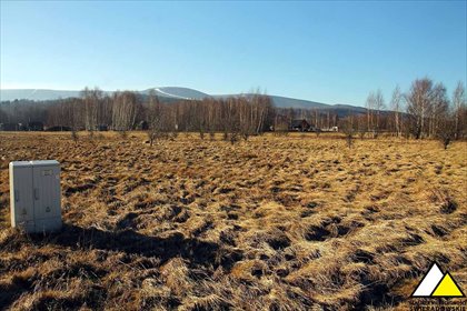 działka na sprzedaż 2700m2 działka Orłowice, Orłowice