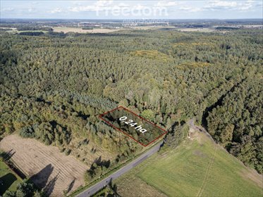 Działka inna na sprzedaż Jaczowice 2 400m2 Foto 5