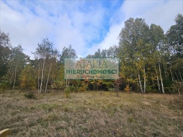 Działka 1500m² z mediami, las i spokój, blisko Warszawy działka Radonie