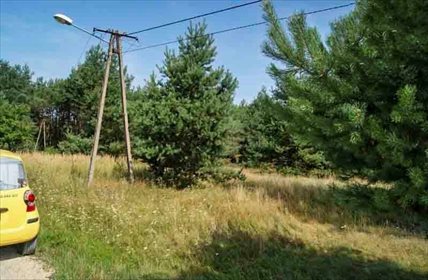 Działka leśna na sprzedaż Firlej 3 200m2 Foto 2