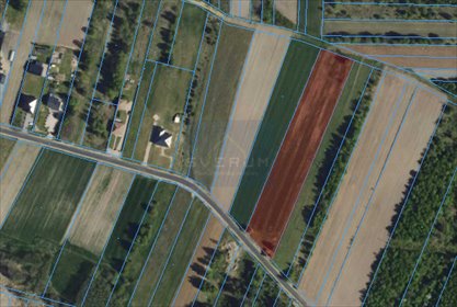 działka na sprzedaż 7916m2 działka Lubojenka