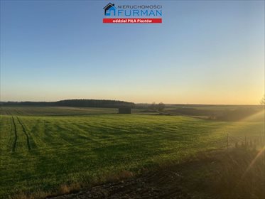 Działka budowlana na sprzedaż Nowy Dwór, Nowy Dwór 3 004m2 Foto 2