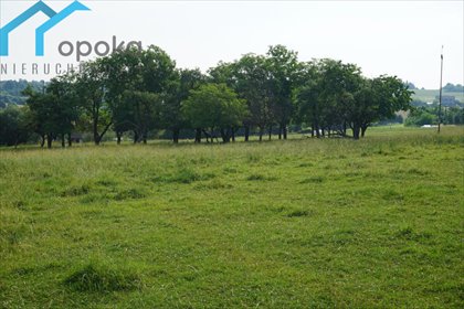 Działka 2478 m² z uzbrojeniem, blisko miasta i komunikacji działka Cieszyn