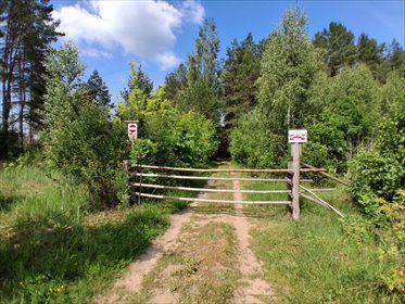 Urokliwa działka 1149 m² w Nowodworcach blisko Białegostoku działka Nowodworce, Stroma
