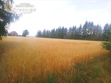 Działka budowlana na sprzedaż Biskupice, Biskupskie Drogi 1 564m2 Foto 1