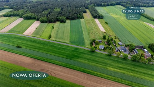 działka na sprzedaż 14500m2 działka Górki Grabińskie