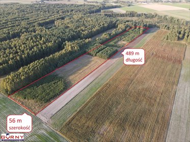 Na sprzedaż działka 2,79 ha z lasem i drogą w Mąkolicach działka Mąkolice