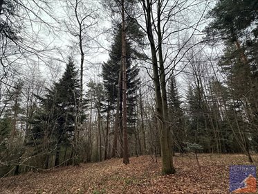 działka na sprzedaż 7100m2 działka Stara Wieś