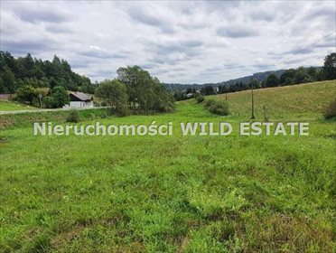 Na sprzedaż działka budowlana 6,2 ha z mediami w Berezce działka Solina, Berezka