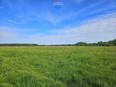 działka na sprzedaż 19700m2 działka Zendek, ks. Antoniego Śliwy