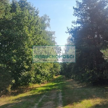 Działka 11 290 m² w otulinie parku krajobrazowego działka Prace Duże