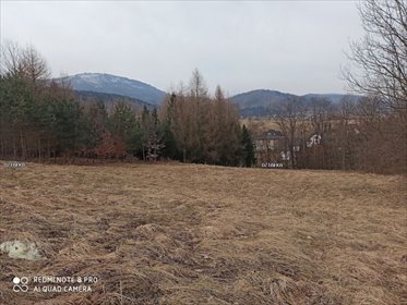 działka na sprzedaż 1986m2 działka Lipowa