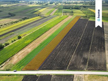 Na sprzedaż działka 1,1 ha z WZ i asfaltowym dojazdem działka Łatanice