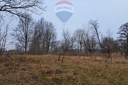 działka na sprzedaż 4759m2 działka Jejkowice, Niedobczycka