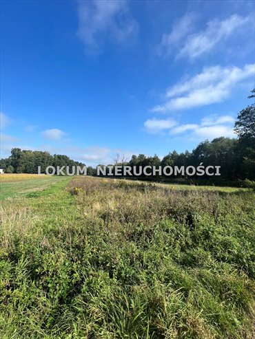 Sprzedam działkę rolną 2 554 m² w Gołkowicach działka Gołkowice