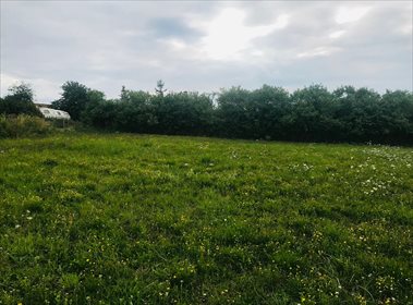 Działka budowlana na sprzedaż Siodłkowice 2 640m2 Foto 4