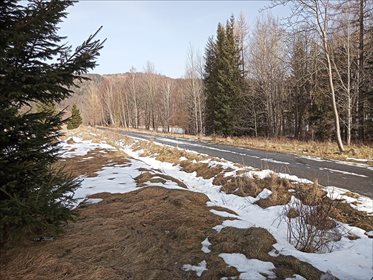 Działka rolna na sprzedaż Stary Gierałtów, Stronie Śląskie 30 300m2 Foto 6