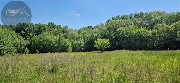 działka na sprzedaż 9875m2 działka Bojanice