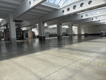 Magazyn 20 000 m² z energią, biurem i infrastrukturą magazyn Wyszków