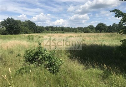 działka na sprzedaż 22600m2 działka Józefów