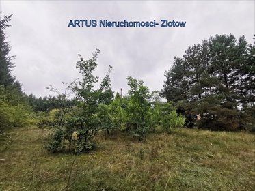 działka na sprzedaż 3067m2 działka Złotów, Złotów