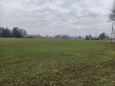 Działka budowlana na sprzedaż Ochaby Wielkie 15 747m2 Foto 3