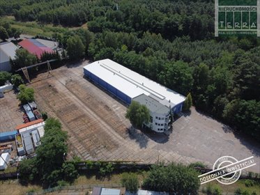 magazyn na sprzedaż 1420m2 magazyn Zielona Góra
