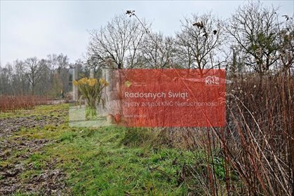 działka na sprzedaż 3000m2 działka Kazimierz Dolny