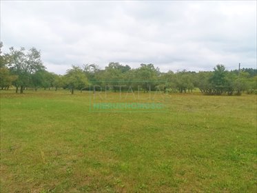 działka na sprzedaż 1400m2 działka Radziejowice