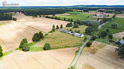 Działka inwestycyjna 2,49 ha w Stróżewicach, nowa cena! działka Stróżewice
