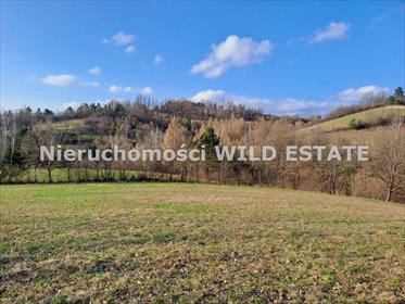działka na sprzedaż 17643m2 działka Lesko, Średnia Wieś