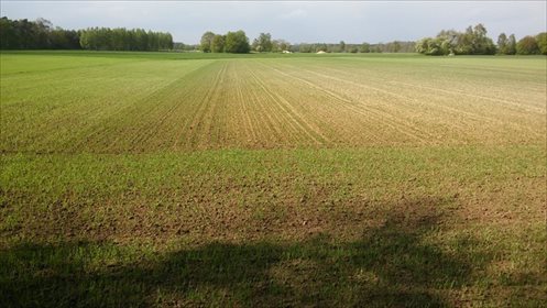 Działka rolna na sprzedaż Czmoń 30 300m2 Foto 3