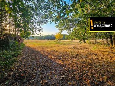 działka na sprzedaż 8300m2 działka Niedźwiedź