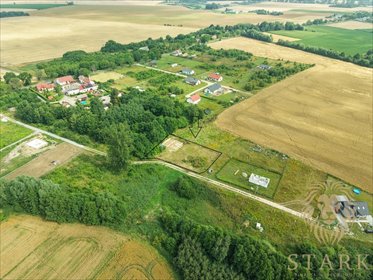 Działka 1660 m² z gotowym projektem domu (Stara Dąbrowa) działka Stara Dąbrowa