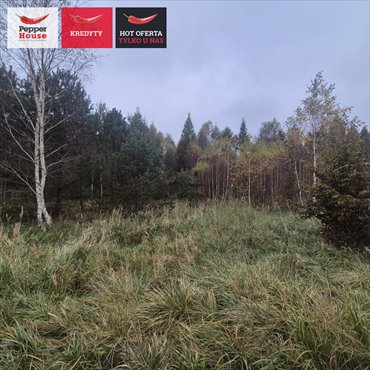 Działka 778 m2 z możliwością dokupu, blisko natury działka Puck