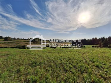działka na sprzedaż 11445m2 działka Nowe Ramoty
