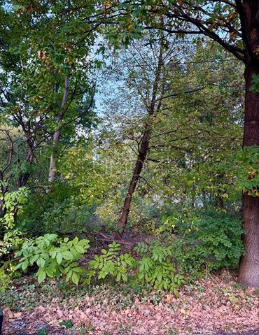 Działka 1987 m² w spokojnym Milanówku - polecam! działka Milanówek