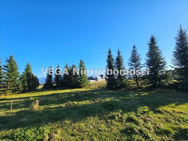 Widokowa działka budowlana z projektem osady w Bustryku działka Zakopane