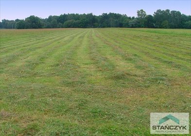 działka na sprzedaż 3000m2 działka Niechorze