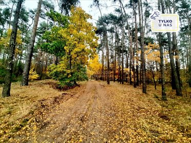 Działka rekreacyjna na sprzedaż Mianów 1 771m2 Foto 1