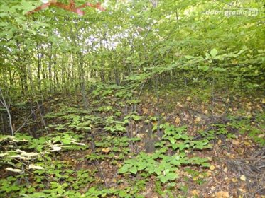 działka na sprzedaż 907m2 działka Iwonicz-Zdrój