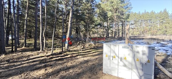 działka na sprzedaż 3100m2 działka Prace Duże