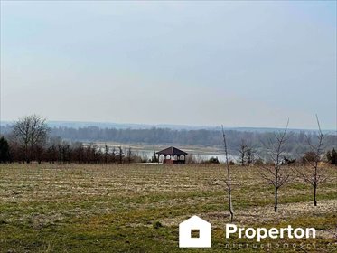 działka na sprzedaż 5000m2 działka Kaliszany-Kolonia