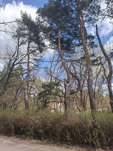 działka na sprzedaż 1043m2 działka Warszawa, Wawer, Hafciarska
