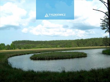 Działka siedliskowa na sprzedaż Studzienice, Prądzonka 34 000m2 Foto 2