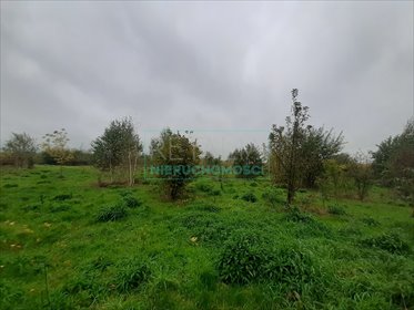 działka na sprzedaż 15722m2 działka Brwinów