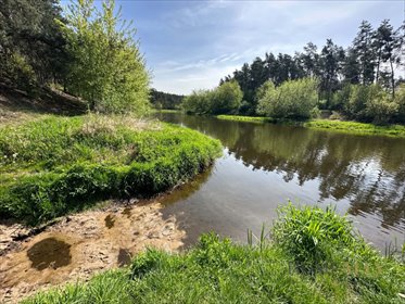 Na sprzedaż działka rekreacyjna 1100 m² w Lelewie działka Lelewo