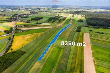 działka na sprzedaż 8350m2 działka Skała